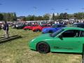IMG_7934-Copy