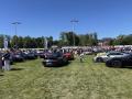 IMG_7936-Copy