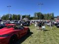 IMG_7937-Copy