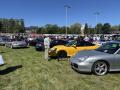 IMG_7938-Copy