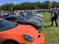 IMG_7946-Copy