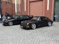 IMG_9008-Copy