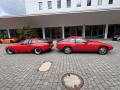 IMG_9028-Copy
