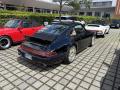 IMG_9036-Copy