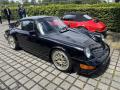 IMG_9037-Copy