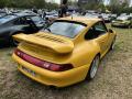 IMG_7824-Copy