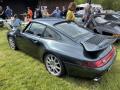 IMG_7860-Copy