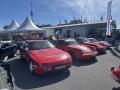 IMG_9794-Copy
