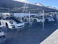 IMG_9823-Copy