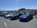 IMG_9826-Copy