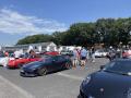 IMG_9178-Copy