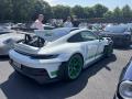 IMG_9196-Copy