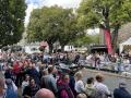 IMG_0483-Copy