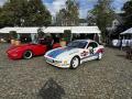 IMG_5312-Copy