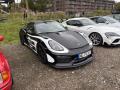 IMG_1842-Copy
