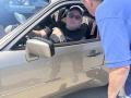 IMG_9135-Copy