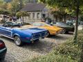 IMG_1669-Copy