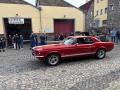 IMG_1679-Copy