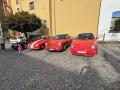 IMG_1681-Copy