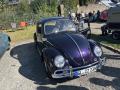 IMG_1704-Copy